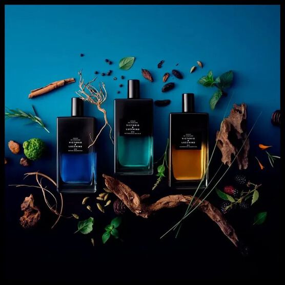 Perfume Victorio & Lucchino N&ordm; 9 Noche Enigm&aacute;tica Masculino Eau de Parfum